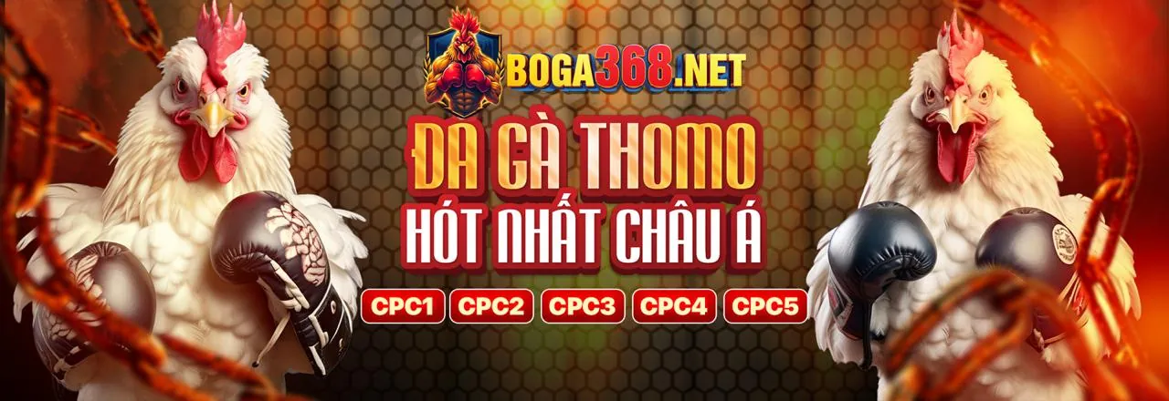Đá Gà Trực Tiếp hubet88 win